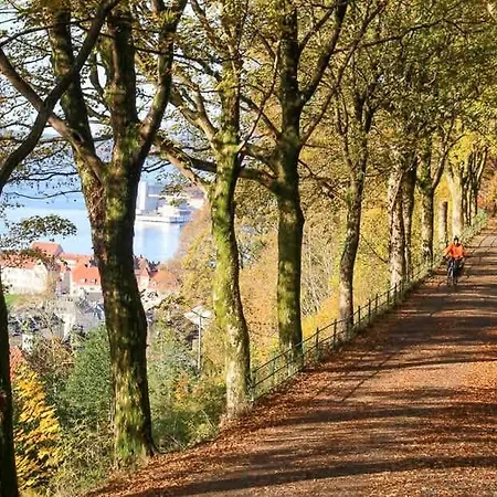 Apartmán Dinbnb I Unique Opportunity I 350m To Bryggen I Quiet *
